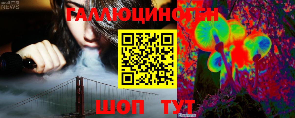 наркотики  Галлюциногенные грибы Psilocybe  Вход с VPN  Тимашёвск 